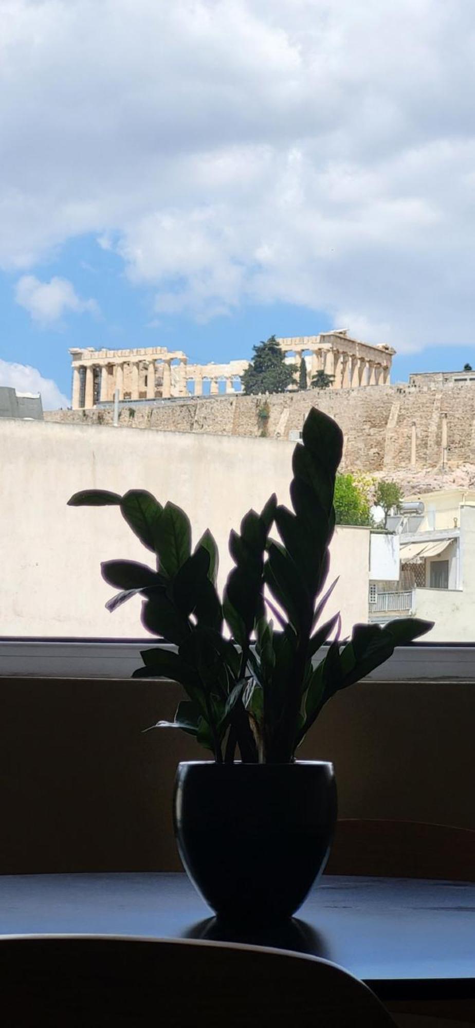 아테네 Lview Acropolis 아파트 외부 사진