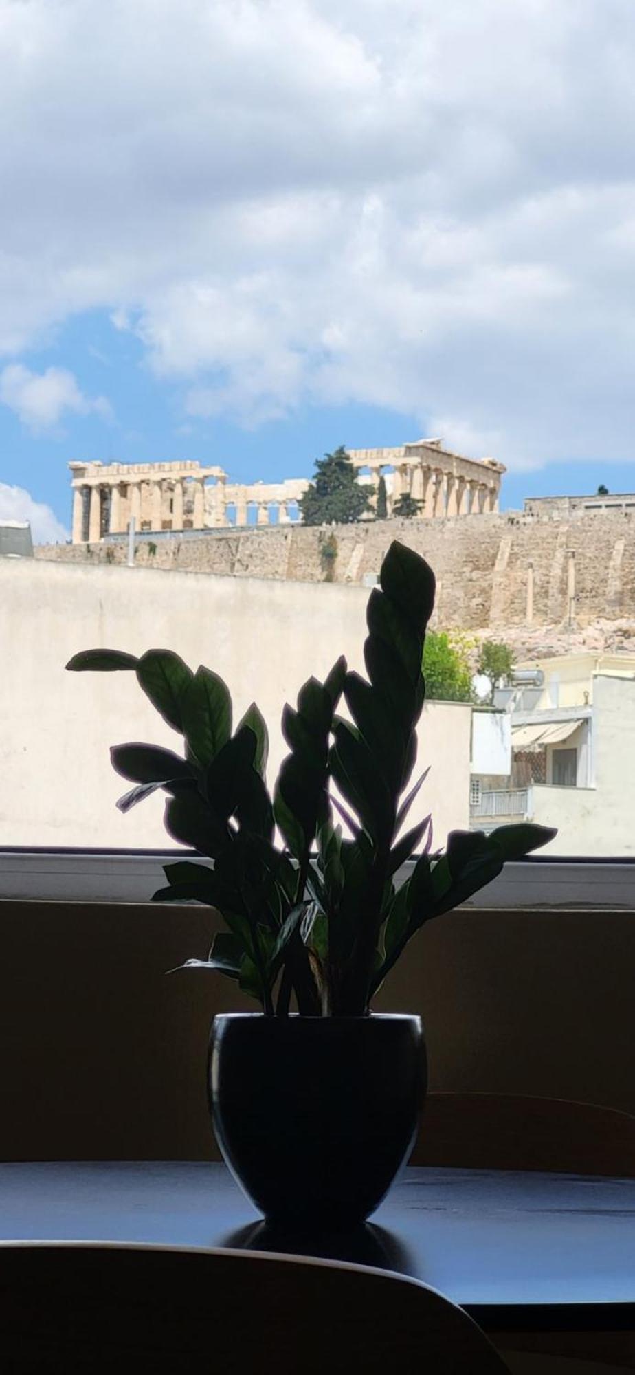 아테네 Lview Acropolis 아파트 외부 사진